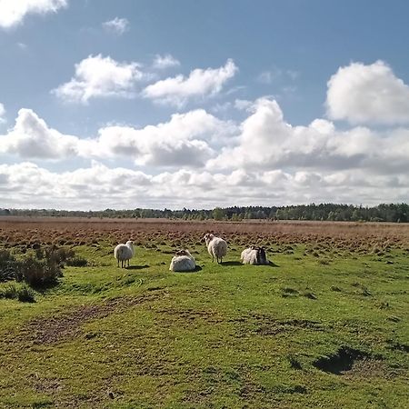 Ruim Huisje Op Een Prachtige Plek Hemrik Eksteriør bilde